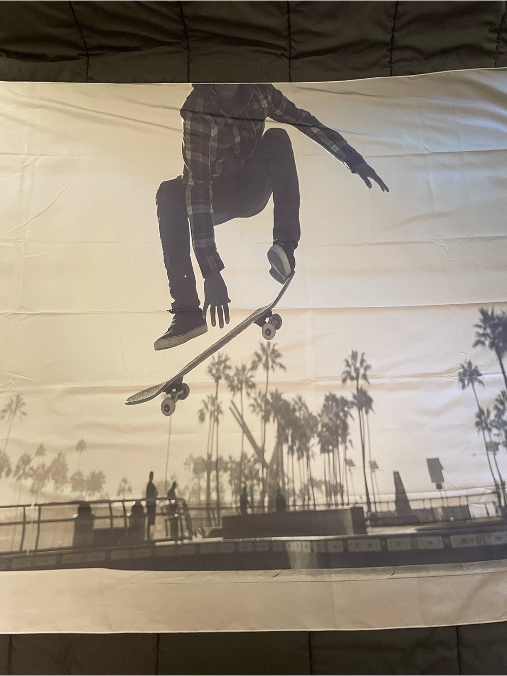 Skateboarder Silhouette Wall Tapestry in Black and White N30